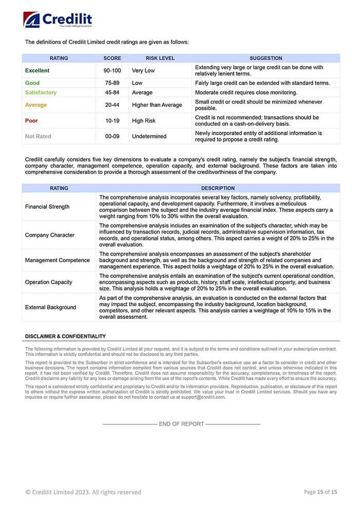 Credilit Sample Credit Risk Report PG15